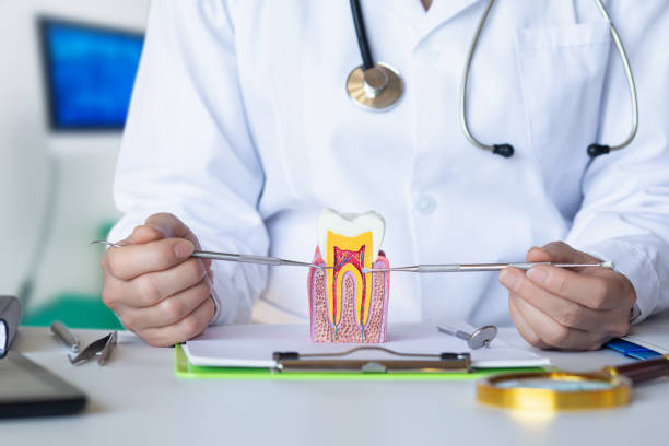Best Emergency TMJ Treatment in Old Fig Garden, CA